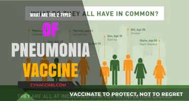 Understanding Pneumonia Vaccines: Two Essential Types for Prevention