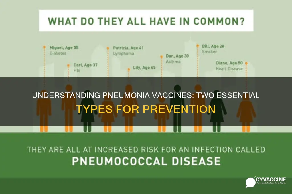 what are the 2 types of pneumonia vaccine