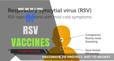 Understanding RSV Vaccines: Exploring the Two Primary Types Available
