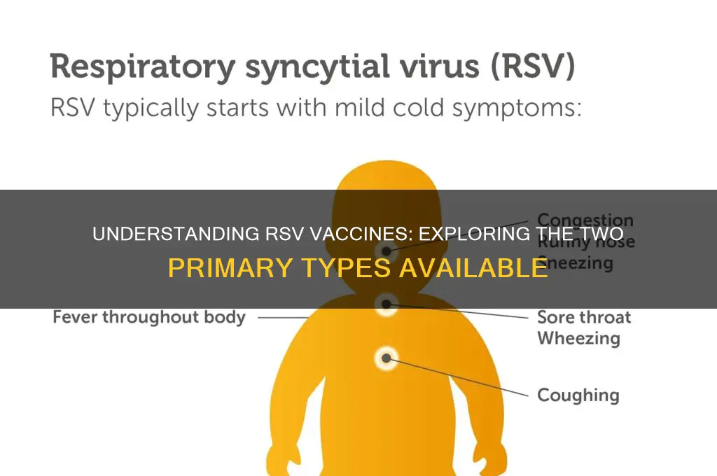 what are the 2 types of rsv vaccines