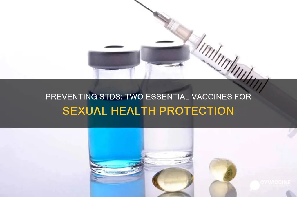 what are the 2 vaccines to prevent std