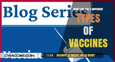 Understanding the Three Main Types of Vaccines and Their Uses