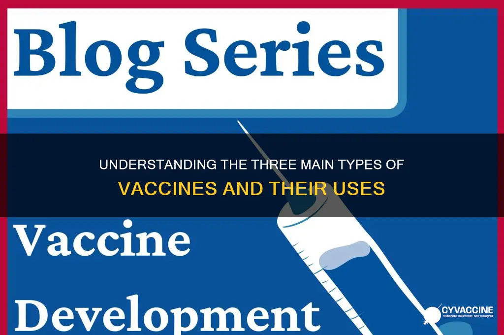 what are the 3 different types of vaccines