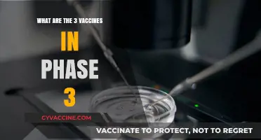 Phase 3 Vaccine Trials: Unveiling the Top 3 Candidates