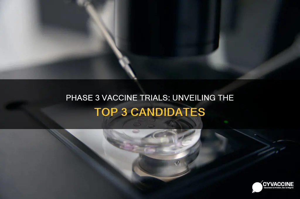 what are the 3 vaccines in phase 3