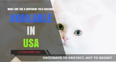 Four Felv Vaccines in the USA: Types and Availability