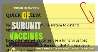 Exploring the Four Key Types of Subunit Vaccines