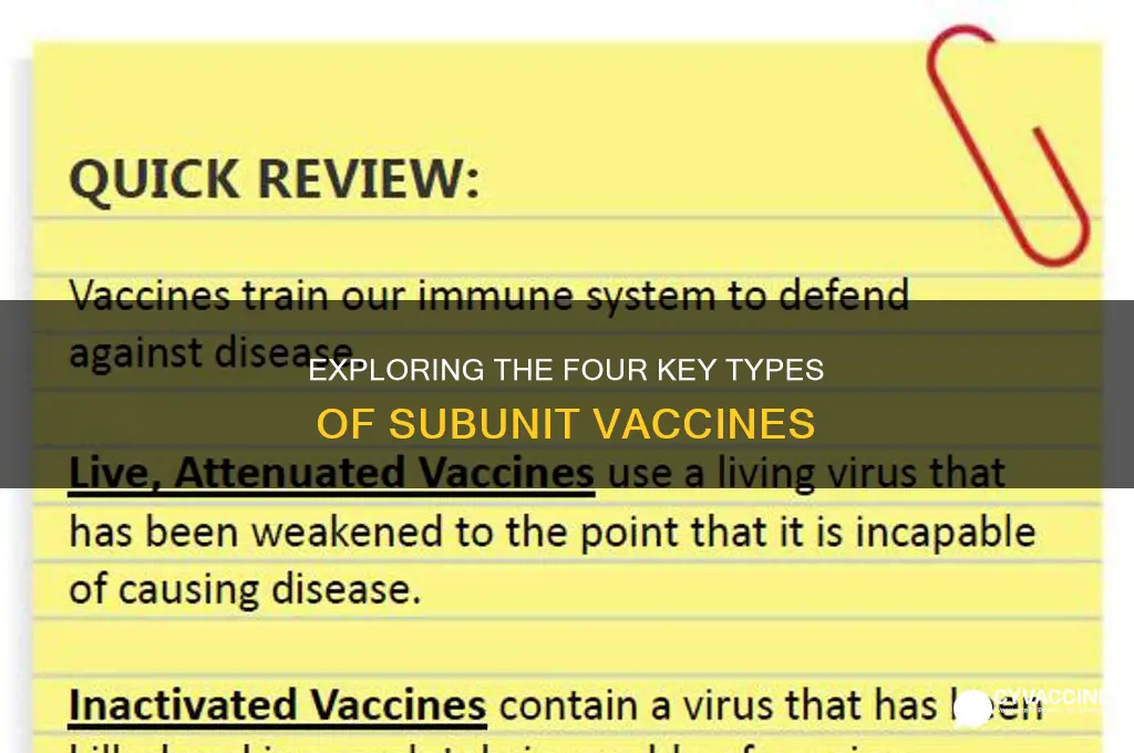what are the 4 key types of subunit vaccines