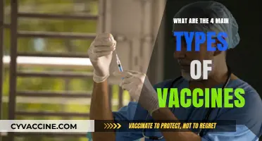 Understanding the Four Primary Types of Vaccines and Their Uses