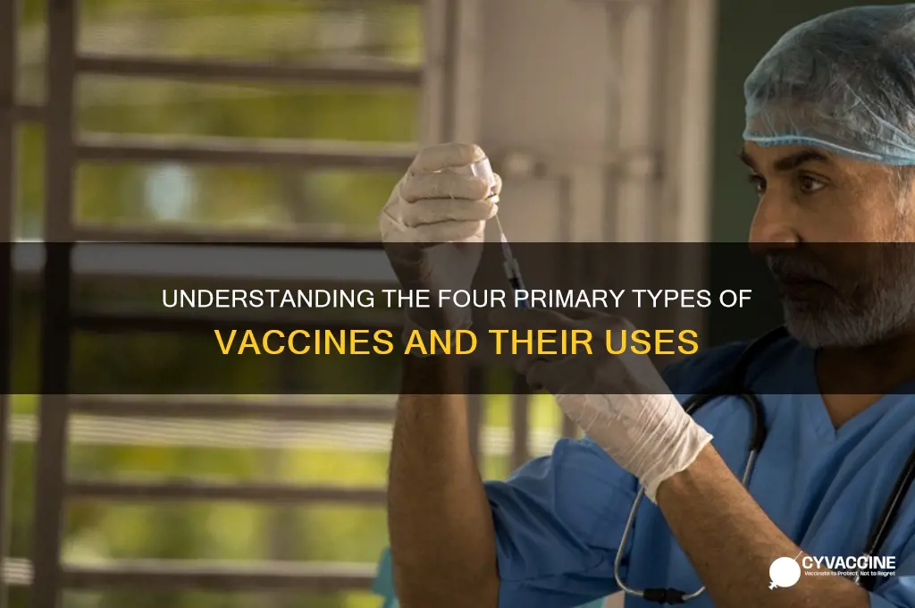 what are the 4 main types of vaccines