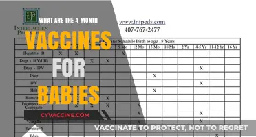 Essential 4-Month Baby Vaccines: Protecting Your Little One's Health