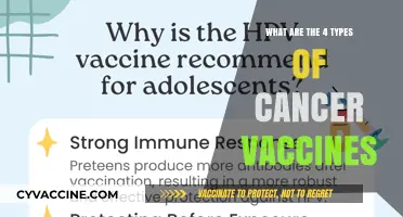 Cancer Vaccines: 4 Distinct Types, One Goal