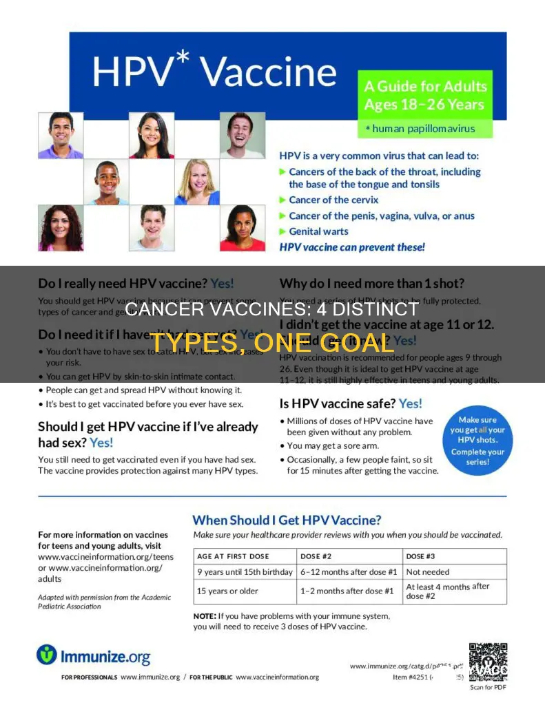 what are the 4 types of cancer vaccines