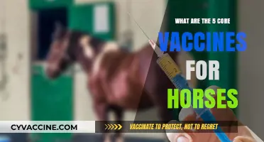 Essential Horse Vaccines: 5 Core Immunizations Every Owner Should Know
