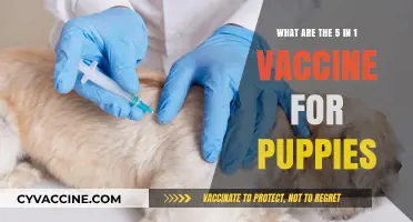 Puppy Vaccines: 5-in-1 Protection