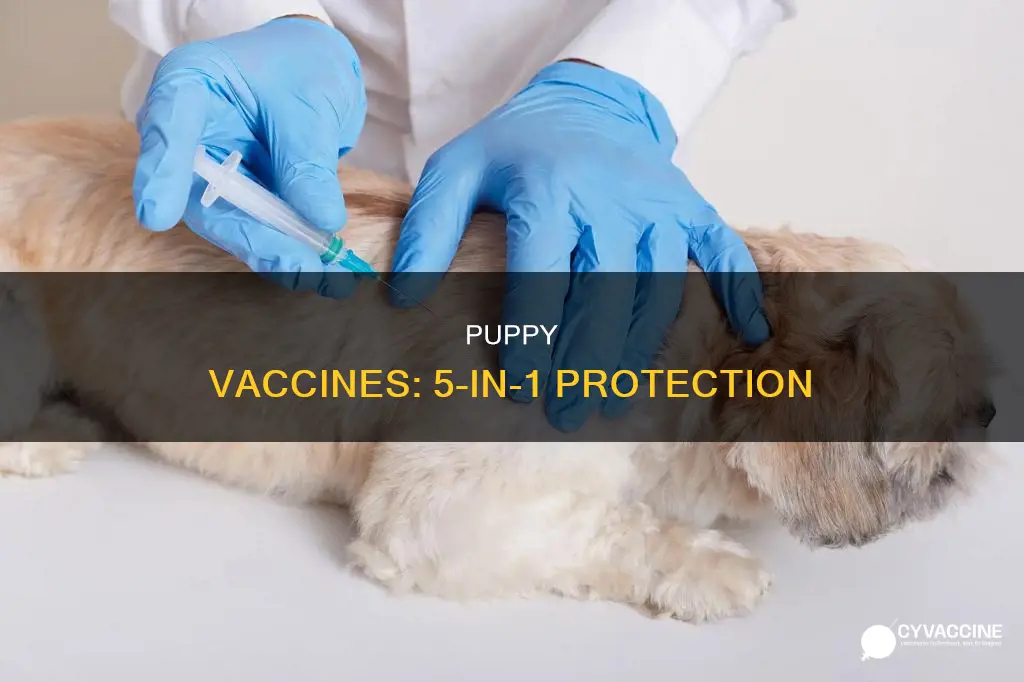 what are the 5 in 1 vaccine for puppies