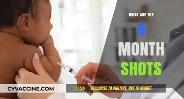 Understanding Your Baby's 6-Month Vaccinations: A Parent's Guide
