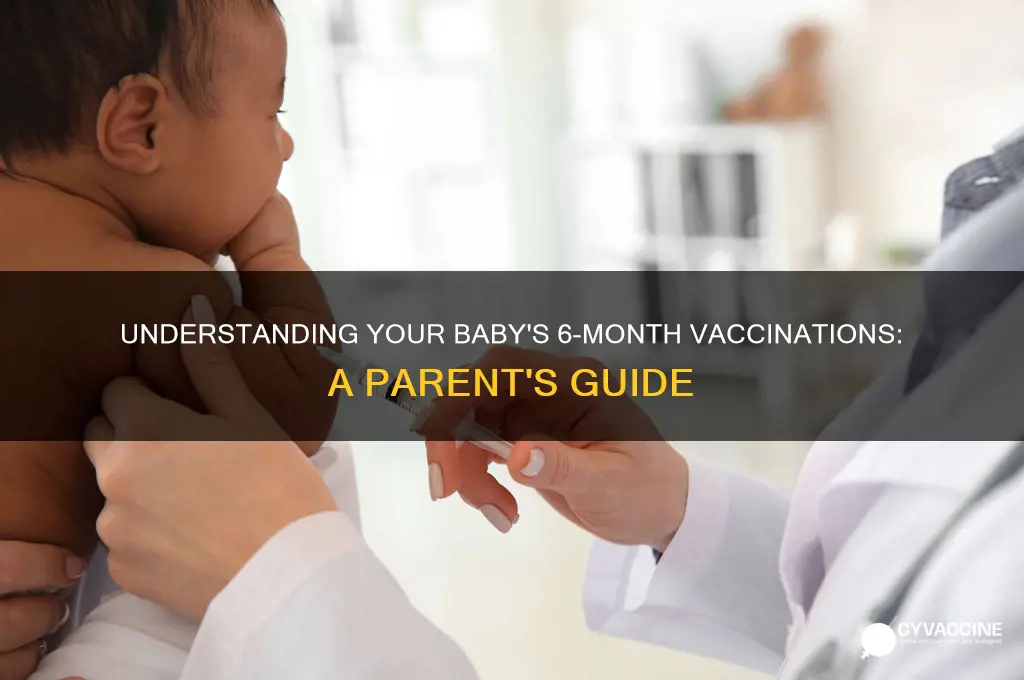 what are the 6 month shots