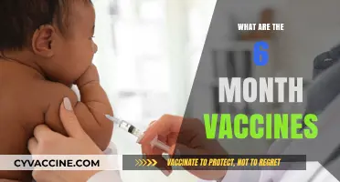 Essential Vaccines for Babies: 6-Month Immunization Schedule Explained