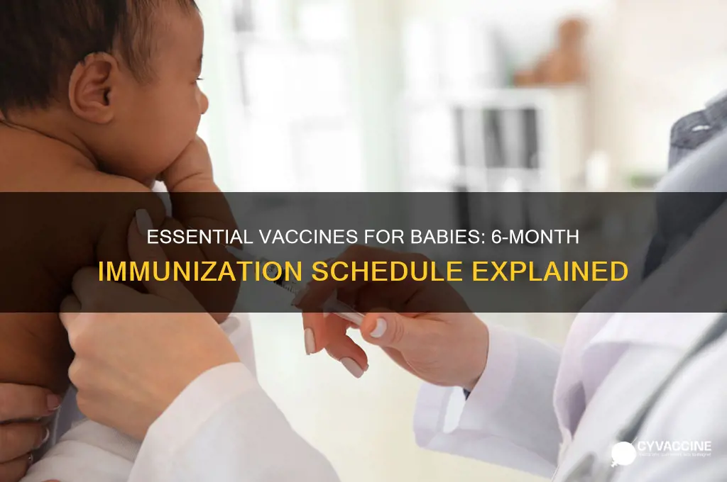 what are the 6 month vaccines