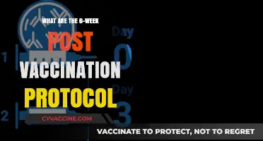 Post-Vaccination Recovery: Essential 6-Week Protocol for Optimal Health