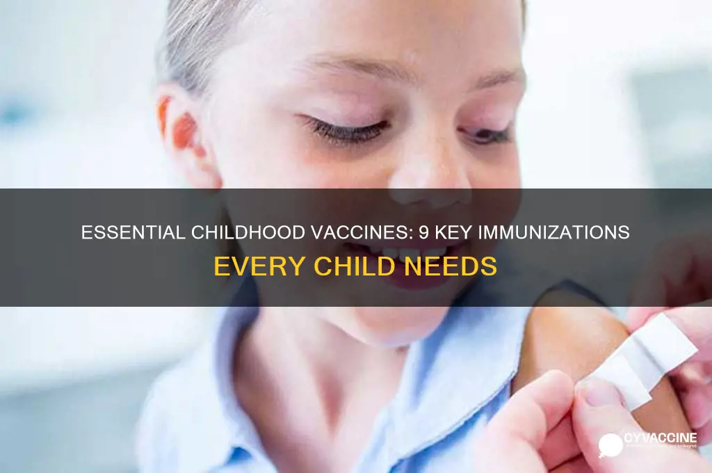 what are the 9 vaccines that children should have