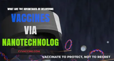 Nanotechnology in Vaccines: Revolutionizing Delivery for Enhanced Immunity and Health
