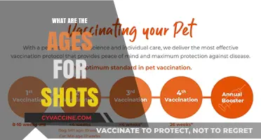 Essential Vaccination Ages: A Guide to Timely Immunizations