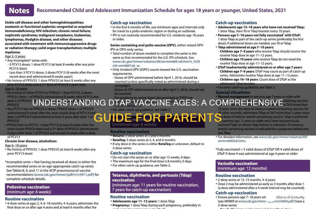 what are the ages for the dtap vaccine