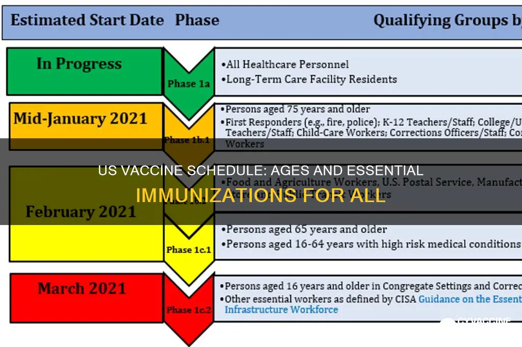 what are the ages for vaccines in the us