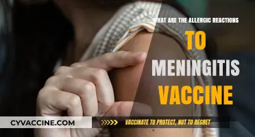 Understanding Meningitis Vaccine Allergic Reactions: Symptoms, Risks, and Prevention