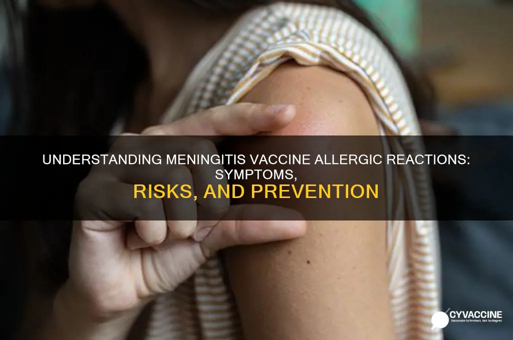 what are the allergic reactions to meningitis vaccine