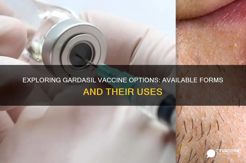 what are the available forms of the gardasil vaccine