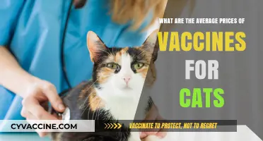 Understanding Average Cat Vaccine Costs: A Comprehensive Price Guide