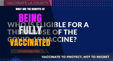 Fully Vaccinated: Unlocking Health, Safety, and Community Benefits