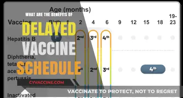 Delayed Vaccine Schedule: Potential Benefits and Considerations for Parents