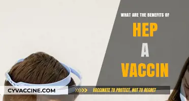 Hepatitis A Vaccine: Protecting Your Health and Preventing Outbreaks