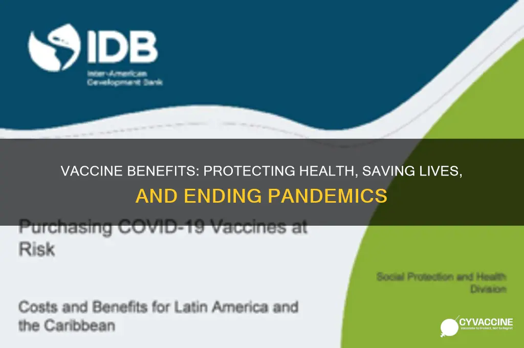what are the benefits of taking the vaccine