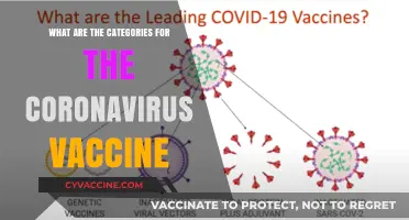 Understanding the Different Categories of Coronavirus Vaccines Available