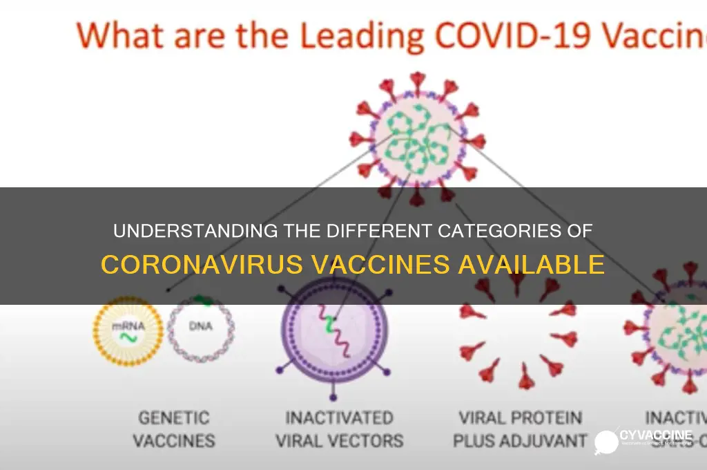 what are the categories for the coronavirus vaccine