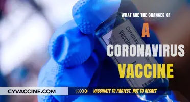 Coronavirus Vaccine Prospects: Assessing the Likelihood of a Successful Immunization