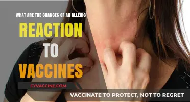 Understanding Vaccine Allergic Reactions: Risks, Symptoms, and Prevention Tips