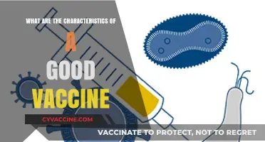 Key Traits of Effective Vaccines: Safety, Efficacy, and Accessibility Explained