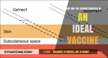 Key Traits of an Ideal Vaccine: Safety, Efficacy, and Accessibility