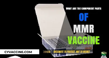 Understanding the Key Components of the MMR Vaccine