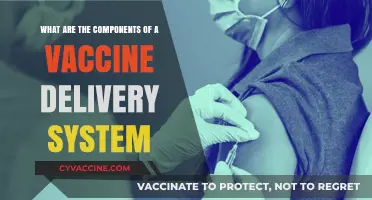 Understanding Vaccine Delivery Systems: Key Components and Their Functions