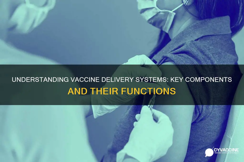 what are the components of a vaccine delivery system