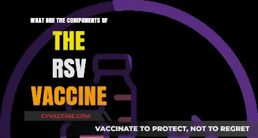 Understanding RSV Vaccine: Key Components and Their Role in Protection