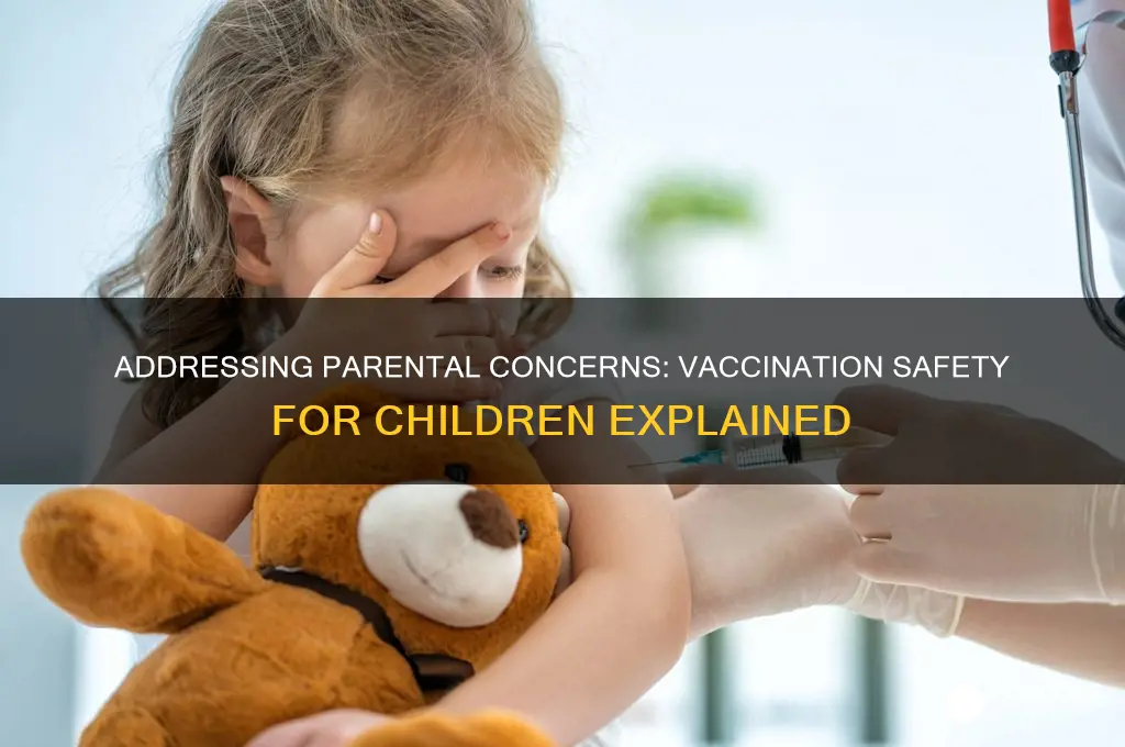 what are the concerns regarding vaccinations in childresn