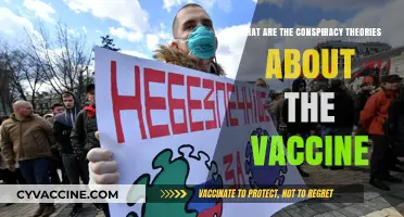 Unveiling Vaccine Conspiracy Theories: Myths, Misinformation, and Reality Explored